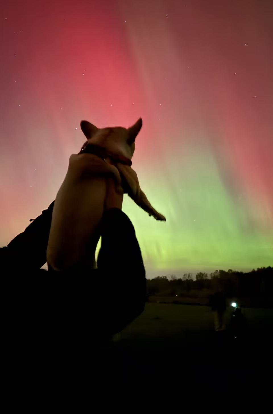 Xiaohua watching the aurora